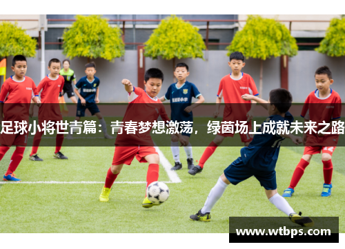 足球小将世青篇：青春梦想激荡，绿茵场上成就未来之路